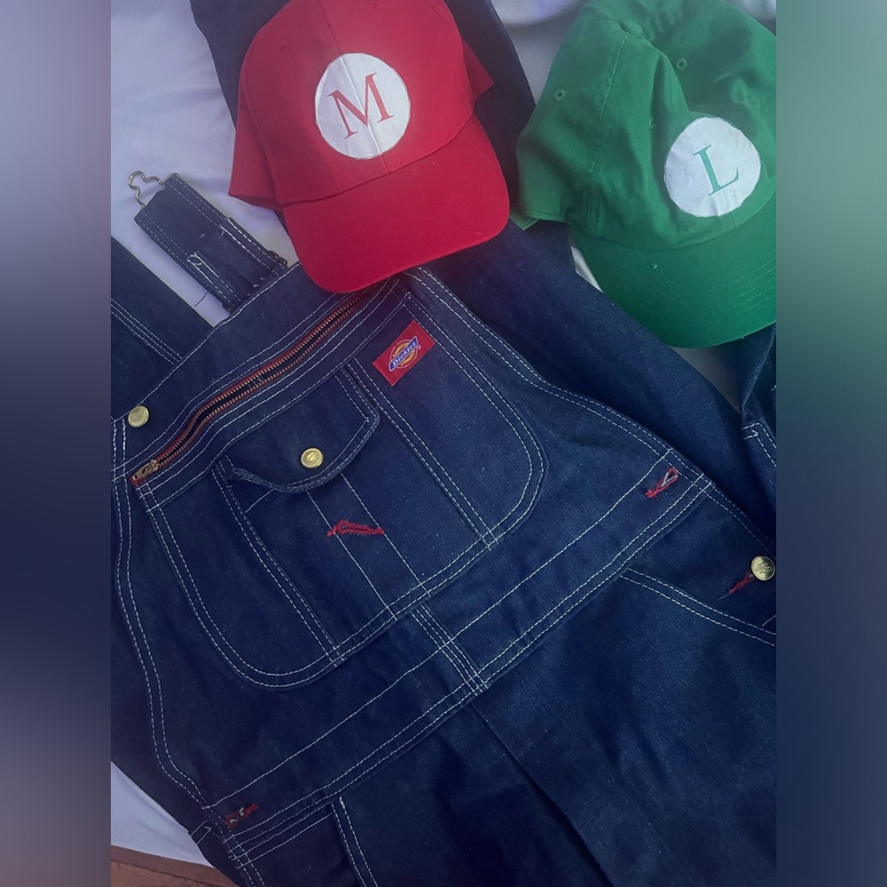 Mario & luigi halloween costume for 2